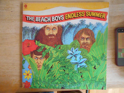 Endless Summer 2 LP