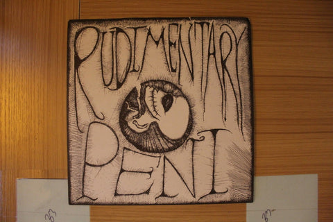 Rudimentary Peni
